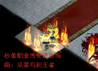�뵥ְҵ�������ָ�ϣ��Ӳ�������