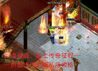 �ʵ��۷壬̤�ϴ������̡�����Ѫ��������˽������