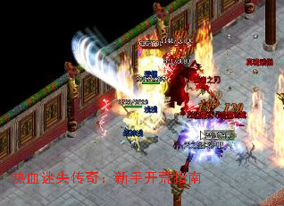 ��Ѫ��ʧ���棺���ֿ���ָ��