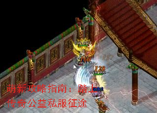 ���¹���ָ�ϣ�̤�ϴ��湫��˽����;