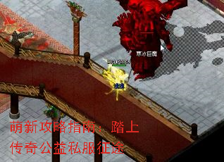 ���¹���ָ�ϣ�̤�ϴ��湫��˽����;