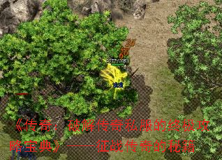 �����棺�ƽ⴫��˽�����ռ����Ա��䡷������ս������ؼ�
