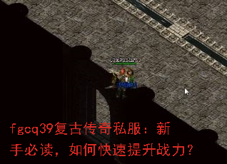 fgcq39���Ŵ���˽�������ֱض�����ο�������ս����