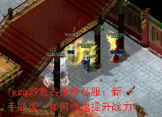 fgcq39���Ŵ���˽�������ֱض�����ο�������ս����