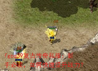 fgcq39���Ŵ���˽�������ֱض�����ο�������ս����