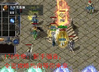 176���棺���ָ�����ȫ�湥��ָ�ϵ�������