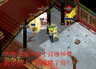 ����˽���е�ʿ�ٻ����޵�С���ɣ�����������