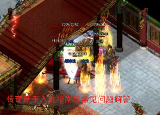 �����������ָ���볣��������