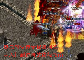 ��Ѫ��䴫���ؼ��ʴ𣺴����ŵ����׵��ռ�ָ��