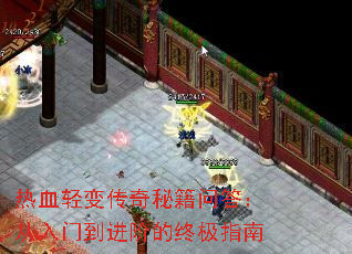 ��Ѫ��䴫���ؼ��ʴ𣺴����ŵ����׵��ռ�ָ��