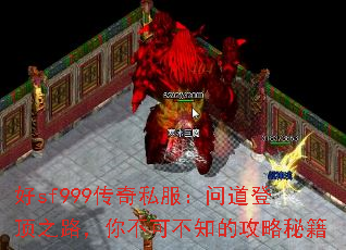 ��sf999����˽�����ʵ��Ƕ�֮·���㲻�ɲ�֪�Ĺ����ؼ�