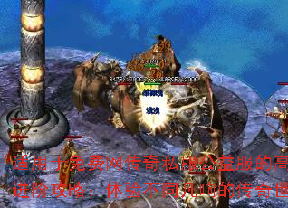 ���������������˽��������ĸ��ֽ��׹��ԣ����鲻ͬ����Ĵ�������