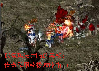 ̽���귨��½�İ��أ�����˽���ռ�����ָ��