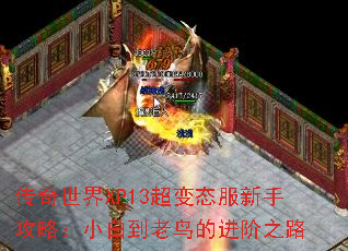 ��������XP13����̬�����ֹ��ԣ�С�׵�����Ľ���֮·