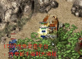 17369���潻��ƽ̨���������ָ��������