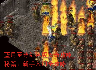 �����������洫�湥���ؼ�����������ȫ����