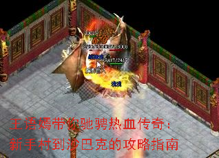 �����̴���۳���Ѫ���棺���ִ嵽ɳ�Ϳ˵Ĺ���ָ��