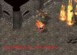 ��Ѫ�����̬�棺���ֹ��Դ�ȫ