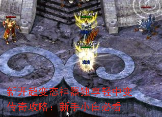 �¿�����̬�����������б䴫�湥�ԣ�����С�ױؿ�