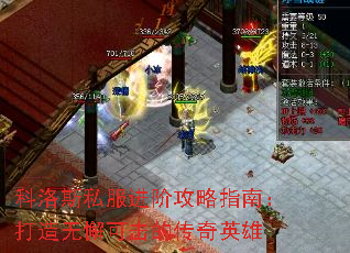 ����˹˽�����׹���ָ�ϣ�������и�ɻ��Ĵ���Ӣ��