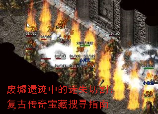 �����ż��е���ʧ�и���Ŵ��汦����Ѱָ��