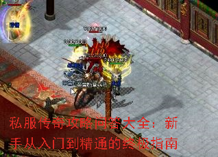 ˽�����湥���ʴ��ȫ�����ִ����ŵ���ͨ���ռ�ָ��
