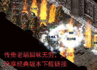�����϶˻�ζ��������������汾��������