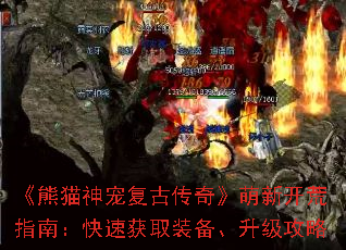 ����è��踴�Ŵ��桷���¿���ָ�ϣ����ٻ�ȡװ������������