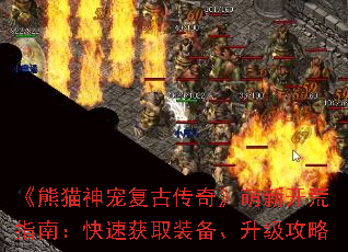 ����è��踴�Ŵ��桷���¿���ָ�ϣ����ٻ�ȡװ������������