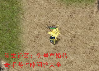 ������Ϯ��ͷ�ž��鴫�����ι����ʴ��ȫ