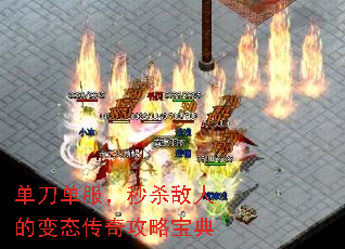 ������������ɱ���˵ı�̬���湥�Ա���