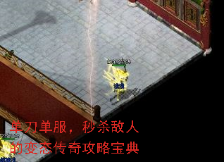 ������������ɱ���˵ı�̬���湥�Ա���