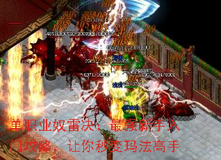��ְҵū�׾�����ǿ�������Ź��ԣ���������귨����