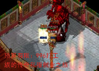 Ԥ�����ޣ�996����Ĵ���˽����ҵ֮��