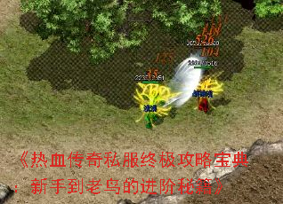 ����Ѫ����˽���ռ����Ա��䣺���ֵ�����Ľ����ؼ���