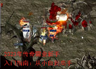 2023�괫���ҵ��������ָ�ϣ���С�׵�����