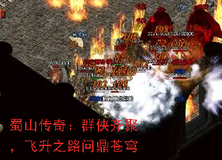 ��ɽ���棺Ⱥ����ۣ�����֮·�ʶ����