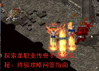 ̽����ְҵ�������εİ��أ��ռ������ʴ�ָ��