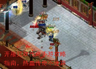 �����񻶴������ι���ָ�ϣ���Ѫ���治��·