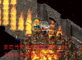 ��̬���洫�湥�԰ٿƣ����ֲ���Ҳ�ܳư�ɳ�Ϳ˳�