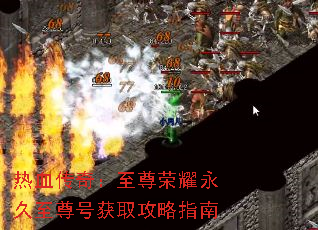 ��Ѫ���棺������ҫ��������Ż�ȡ����ָ��