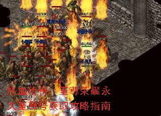 ��Ѫ���棺������ҫ��������Ż�ȡ����ָ��
