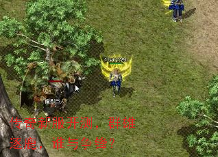 �����·����⣬Ⱥ����¹��˭�����棿