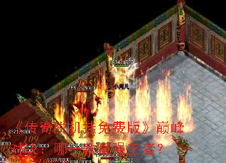 �������ѻ�����Ѱ桷�۷�Ծ�����һ����ǿ���ߣ�