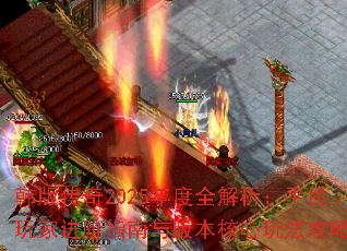 ���洫��2025���ȫ������ƽ����ҽ���ָ����汾�����淨����