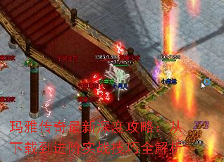 ���Ŵ���������ȹ��ԣ������ص�����ʵս����ȫ����