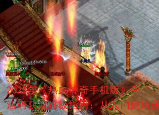 2025�꡶��Ѫ�����ֻ��桷�������ȡ�ռ�ָ�ϣ������ŵ���ͨ