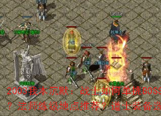 2003�ұ���Ĭ��սʿ��ε���BOSS����ʦ�����ص��Ƽ�����ʿװ��ѡ��ָ�ϣ�