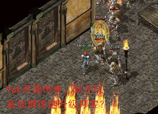 9pk�������棬���������ο��������򱦣�