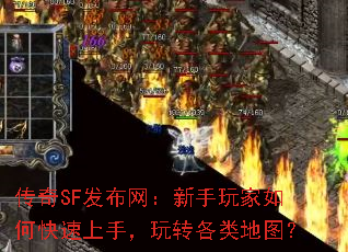 ����SF�����������������ο������֣���ת�����ͼ��